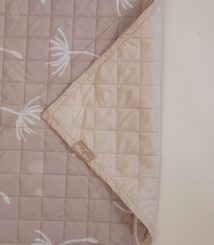 dandelion1 dandelion1