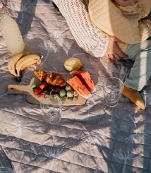 dandelion3 dandelion3