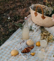 sunflower2 sunflower2